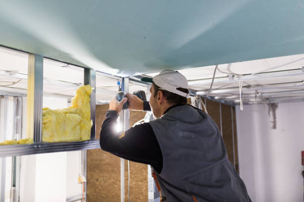 Best Home Insulation Services  in Plymouth, CA