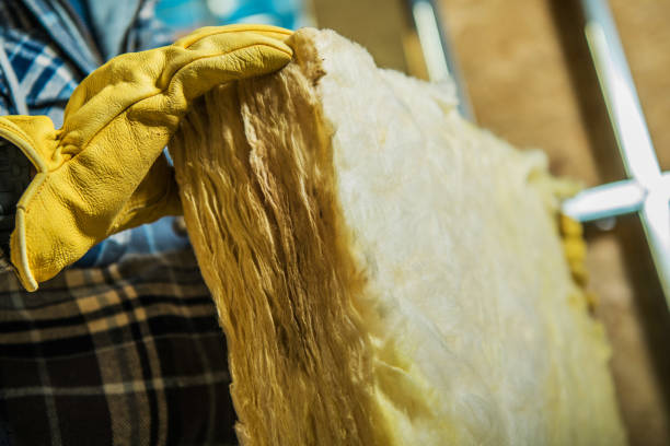 Best Spray Foam Insulation  in Plymouth, CA