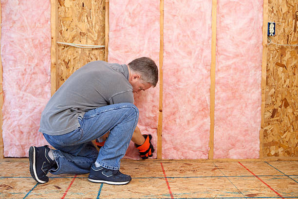 Best Professional Insulation Contractor  in Plymouth, CA